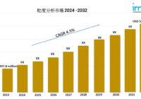 粒度分析市場